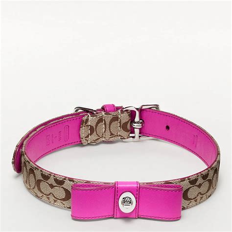 coach dog collars small.